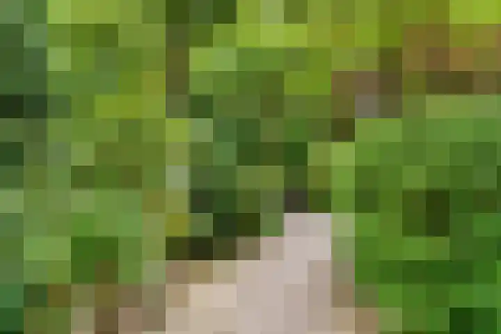 Paulus Potterlaan 3 A Bilthoven thumbnail 4