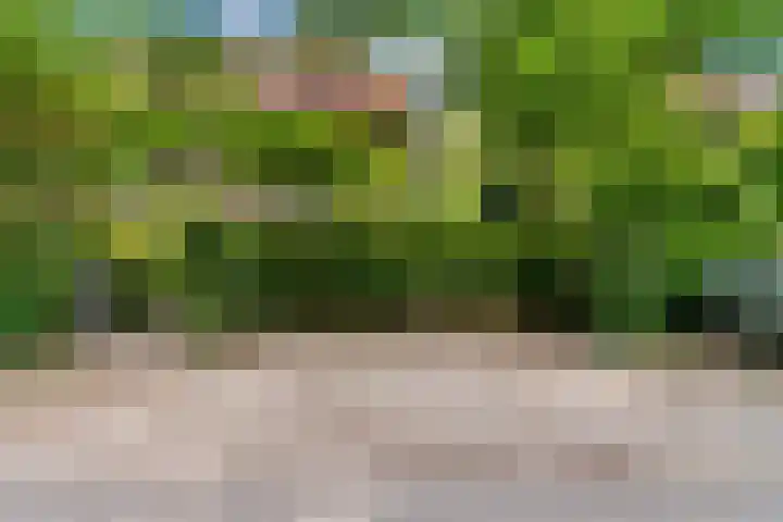Paulus Potterlaan 3 A Bilthoven thumbnail 45