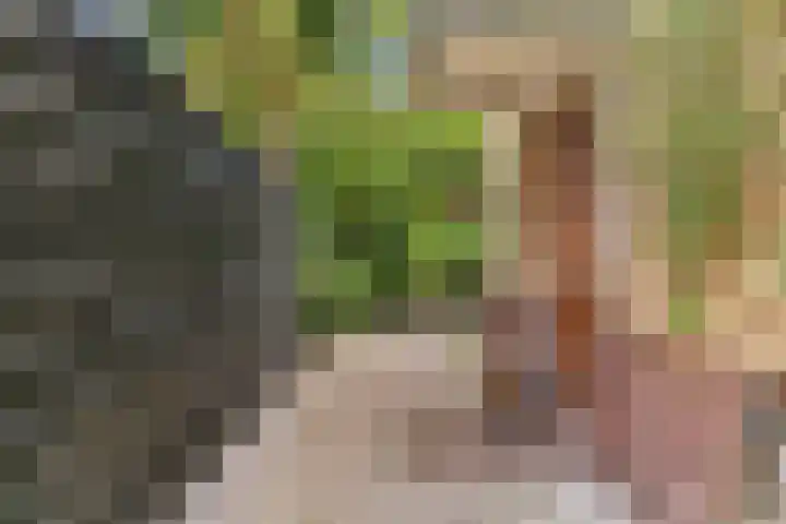 Paulus Potterlaan 3 A Bilthoven thumbnail 5