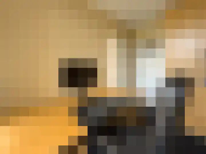 Paulus Potterlaan 31 Capelle aan den IJssel thumbnail 18