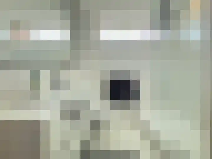 Paulus Potterlaan 31 Capelle aan den IJssel thumbnail 20