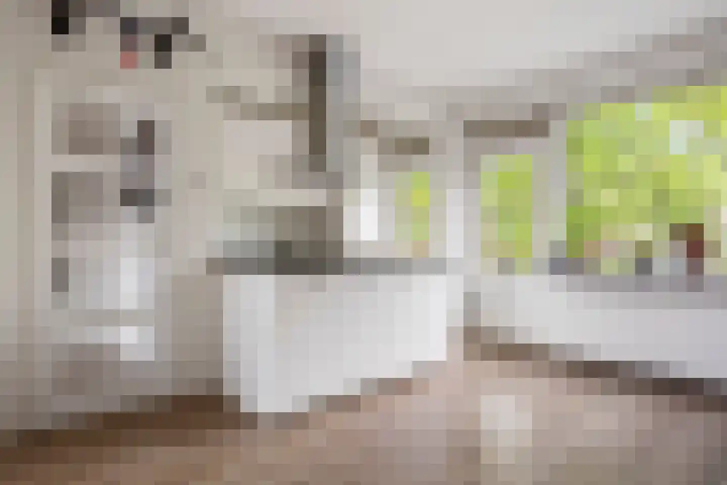 Paulus Potterlaan 33 Rijswijk thumbnail 10