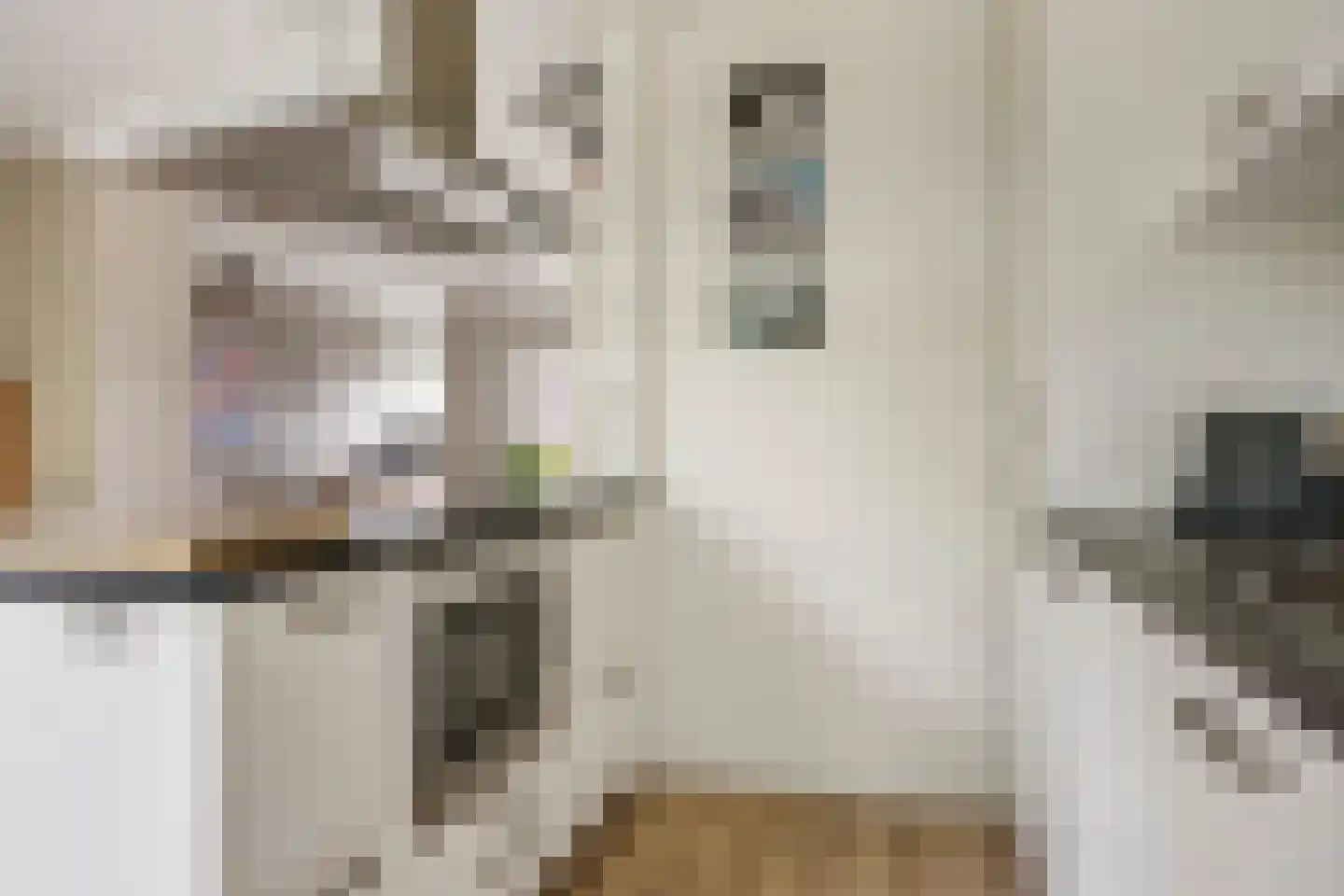 Paulus Potterlaan 33 Rijswijk thumbnail 13