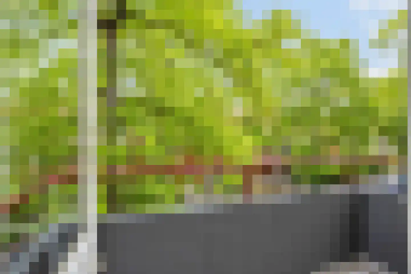 Paulus Potterlaan 33 Rijswijk thumbnail 16