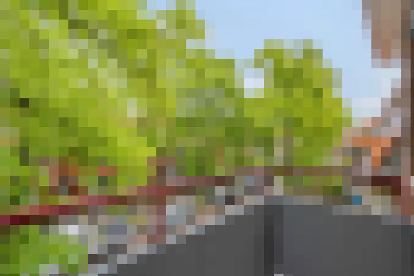 Paulus Potterlaan 33 Rijswijk thumbnail 17