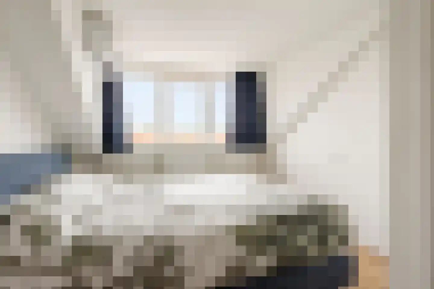 Paulus Potterlaan 33 Rijswijk thumbnail 21