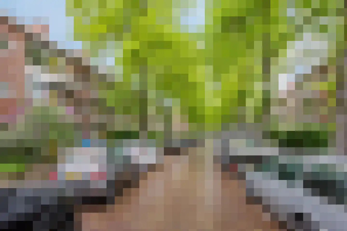 Paulus Potterlaan 33 Rijswijk thumbnail 30