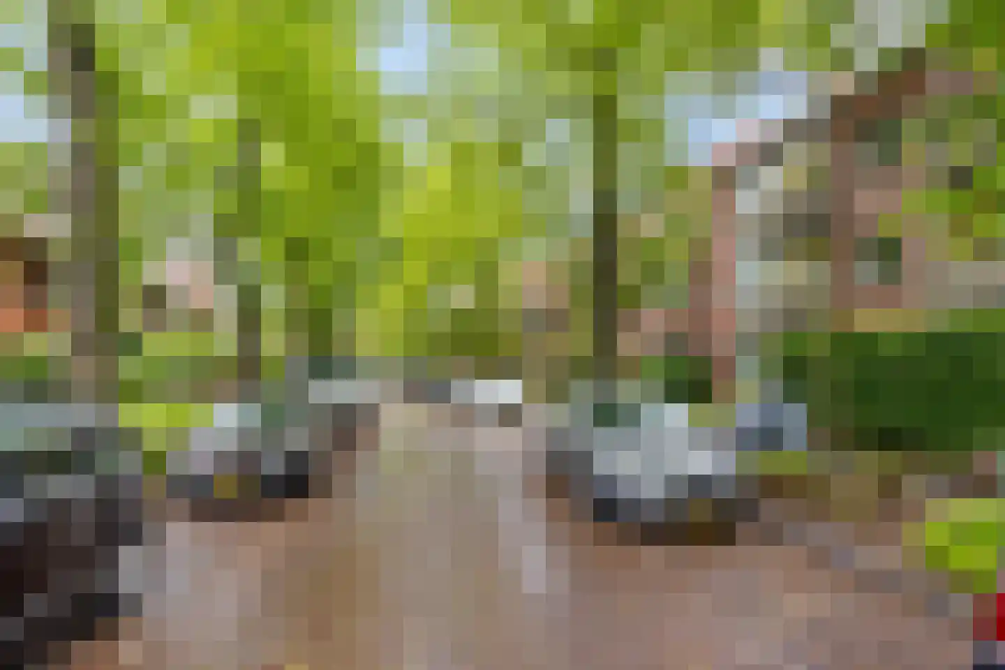 Paulus Potterlaan 33 Rijswijk thumbnail 31