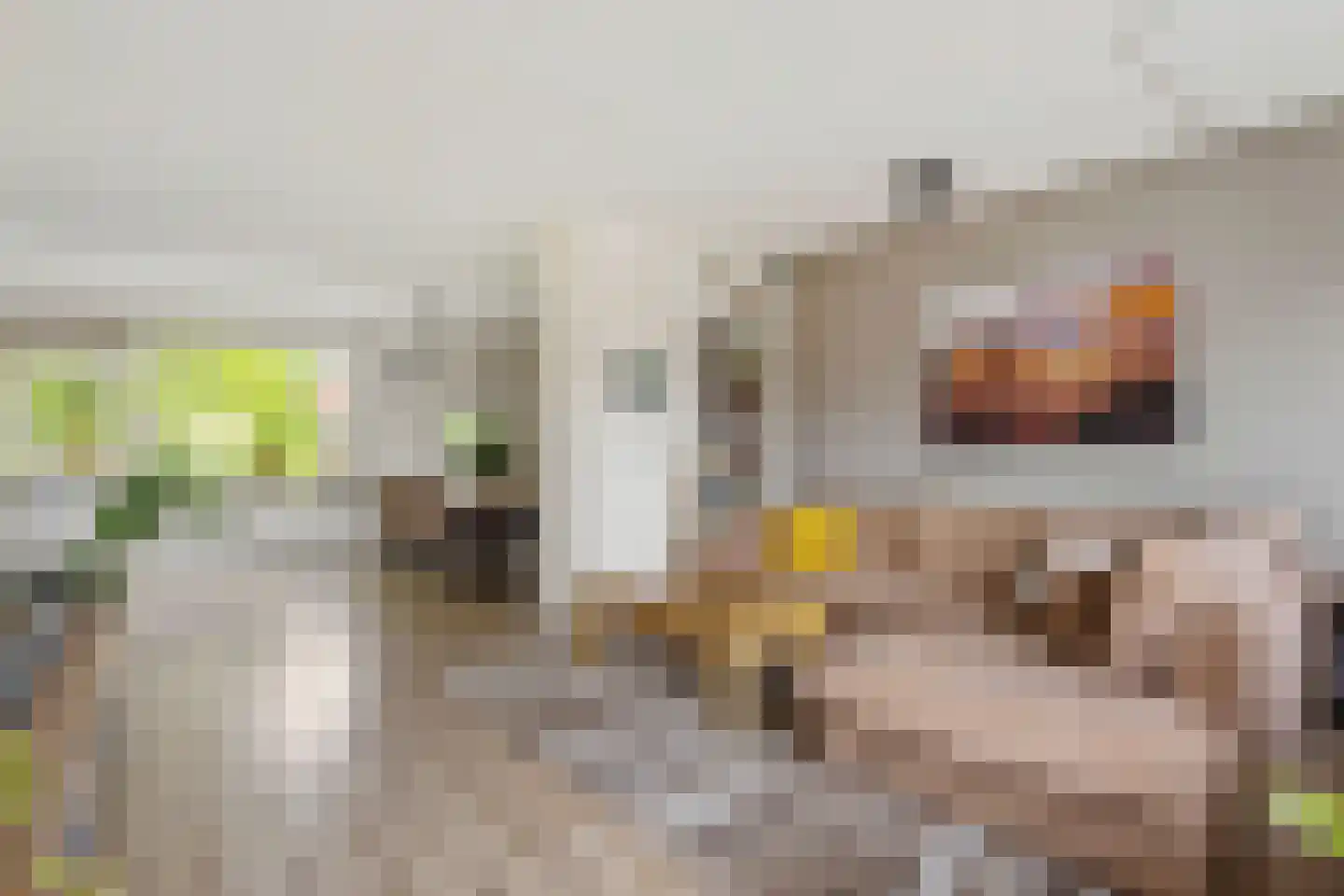 Paulus Potterlaan 33 Rijswijk thumbnail 6