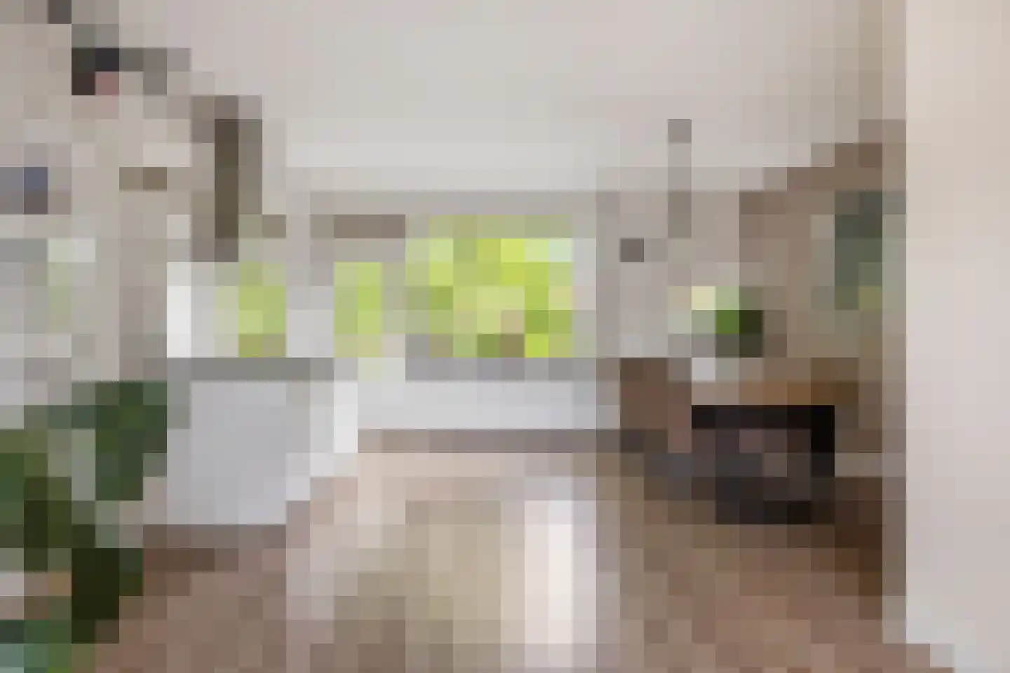 Paulus Potterlaan 33 Rijswijk thumbnail 8