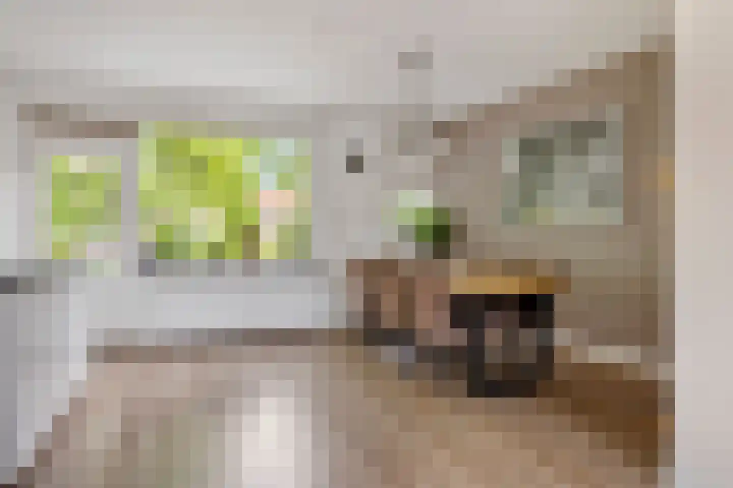 Paulus Potterlaan 33 Rijswijk thumbnail 9