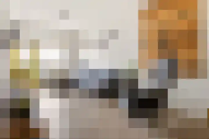 Paulus Potterlaan 35 Rijswijk thumbnail 11