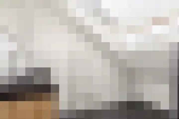 Paulus Potterlaan 35 Rijswijk thumbnail 21