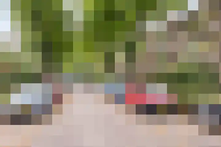 Paulus Potterlaan 35 Rijswijk thumbnail 24