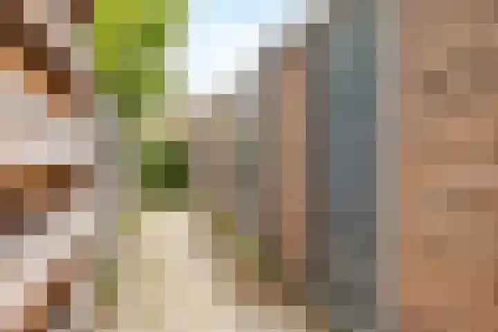 Paulus Potterlaan 35 Rijswijk thumbnail 26