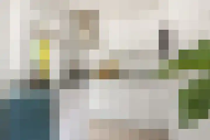 Paulus Potterlaan 35 Rijswijk thumbnail 7