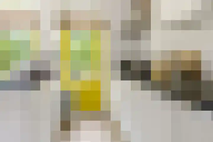 Paulus Potterlaan 35 Rijswijk thumbnail 8