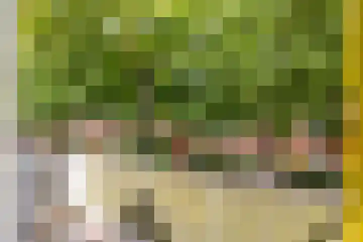 Paulus Potterlaan 35 Rijswijk thumbnail 9