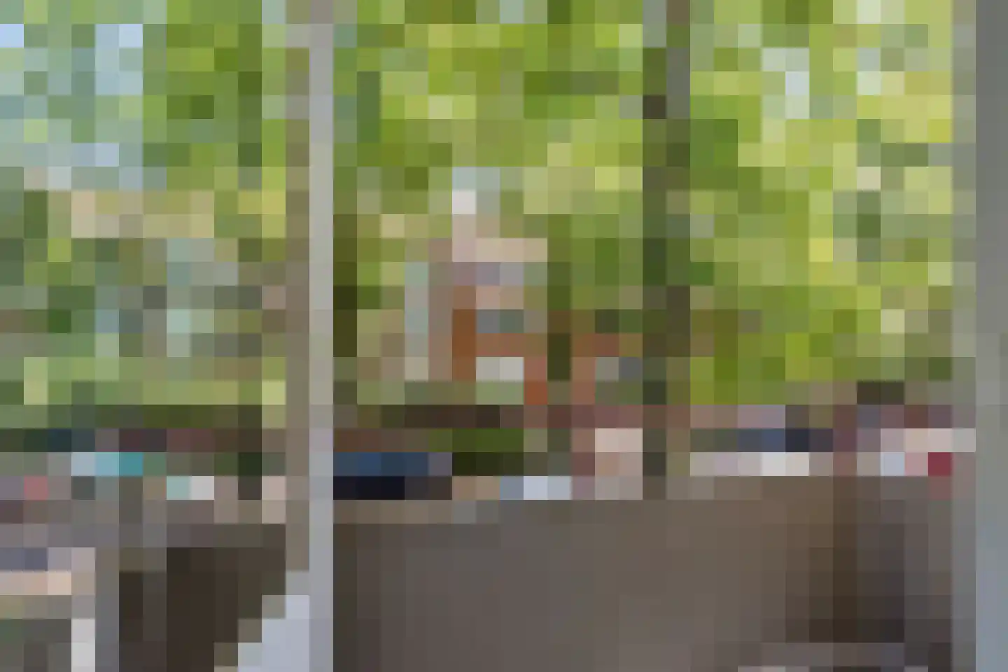 Paulus Potterlaan 37 Rijswijk thumbnail 13