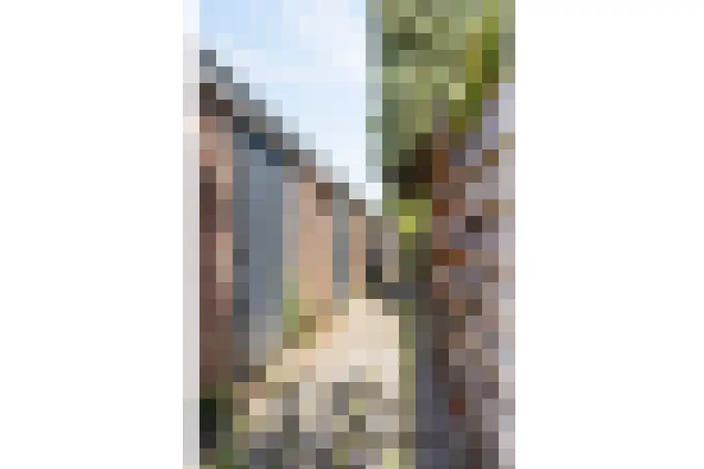 Paulus Potterlaan 37 Rijswijk thumbnail 23
