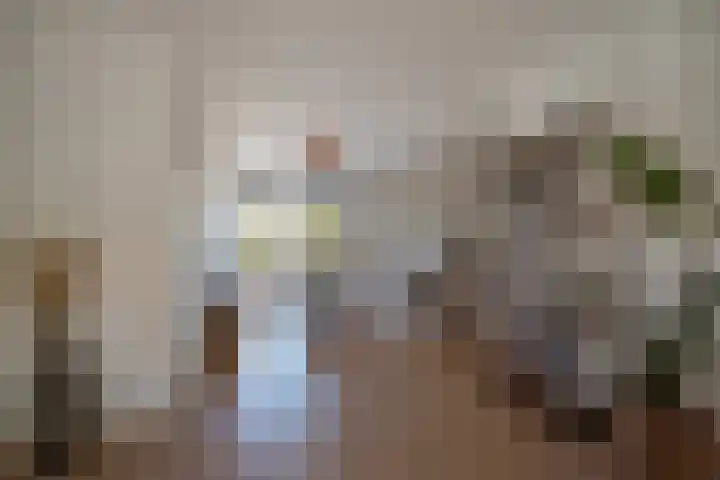 Paulus Potterlaan 48 Rijswijk thumbnail 11