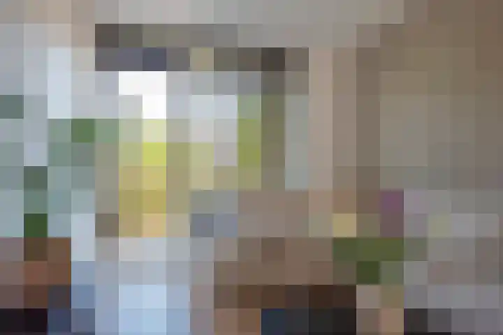 Paulus Potterlaan 48 Rijswijk thumbnail 13