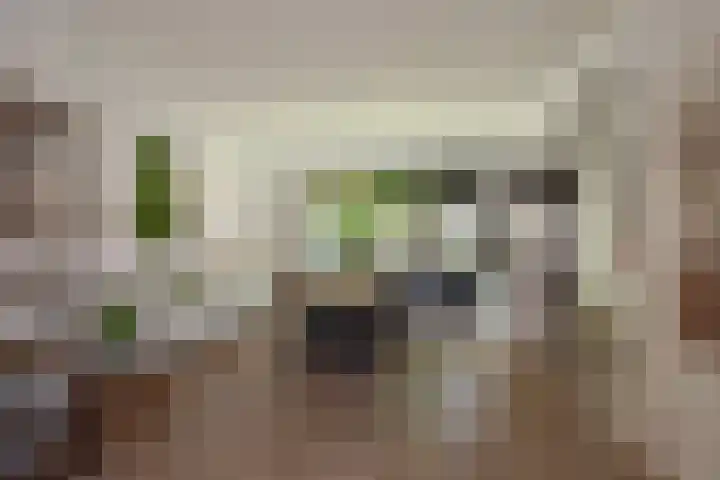 Paulus Potterlaan 48 Rijswijk thumbnail 14