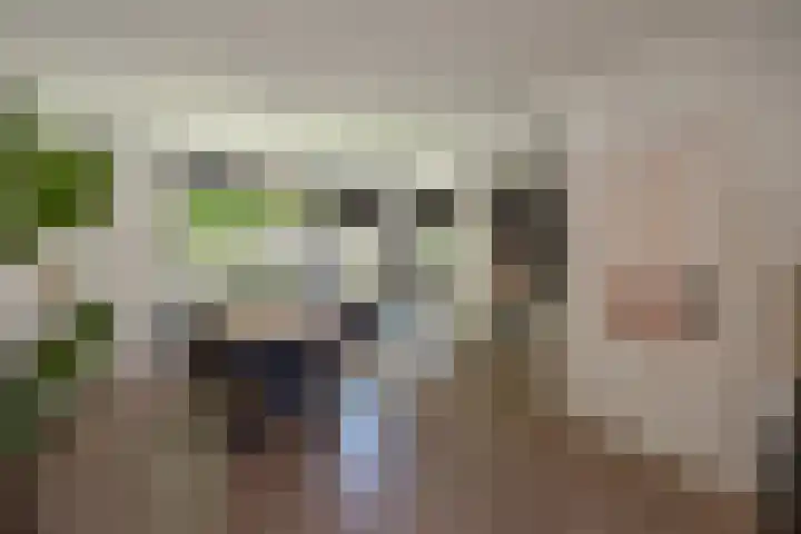 Paulus Potterlaan 48 Rijswijk thumbnail 15