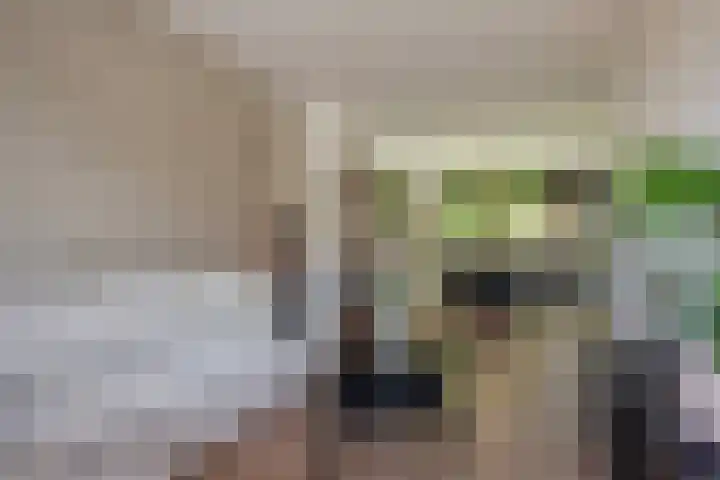 Paulus Potterlaan 48 Rijswijk thumbnail 17