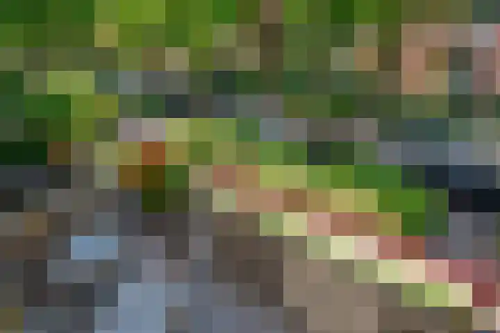 Paulus Potterlaan 48 Rijswijk thumbnail 18