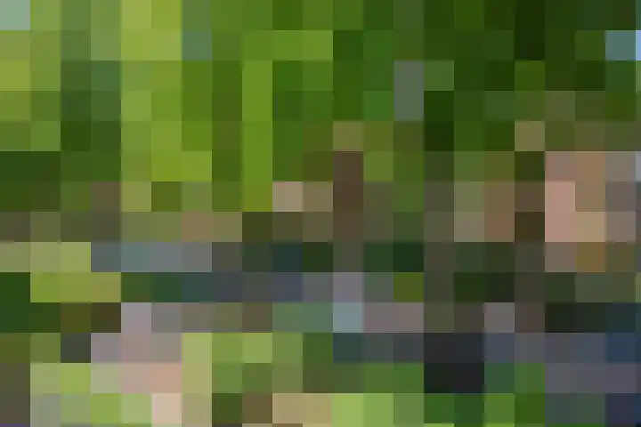 Paulus Potterlaan 48 Rijswijk thumbnail 19