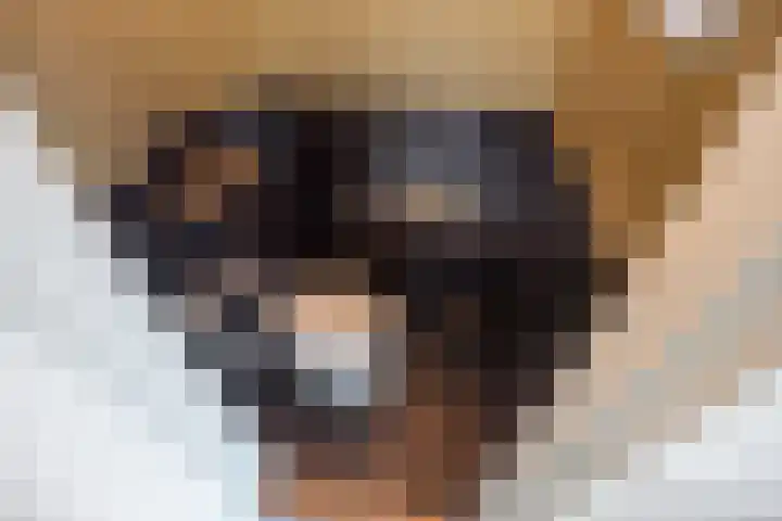 Paulus Potterlaan 48 Rijswijk thumbnail 4