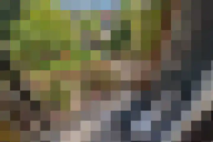 Paulus Potterlaan 48 Rijswijk thumbnail 7
