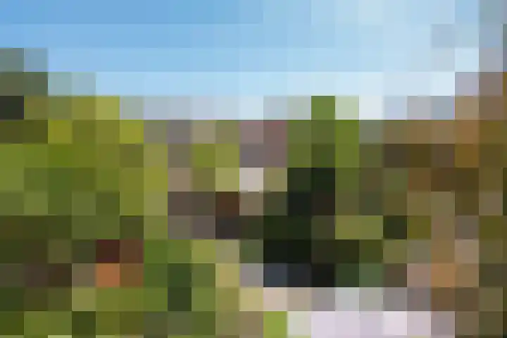 Paulus Potterlaan 48 Rijswijk thumbnail 9