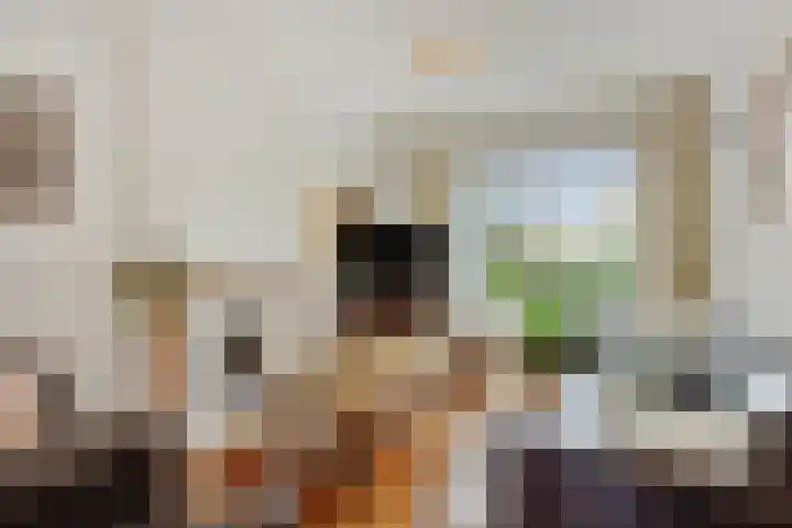 Paulus Potterlaan 5 Helmond thumbnail 14