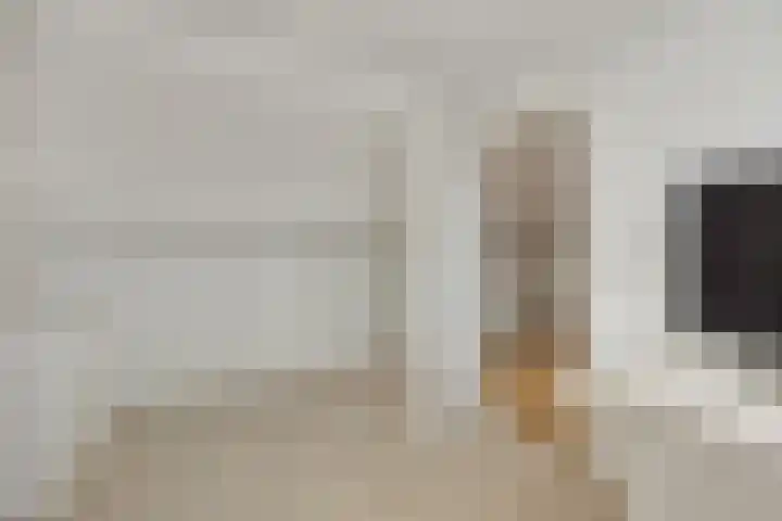 Paulus Potterlaan 5 Helmond thumbnail 34