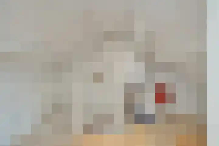 Paulus Potterlaan 5 Helmond thumbnail 35