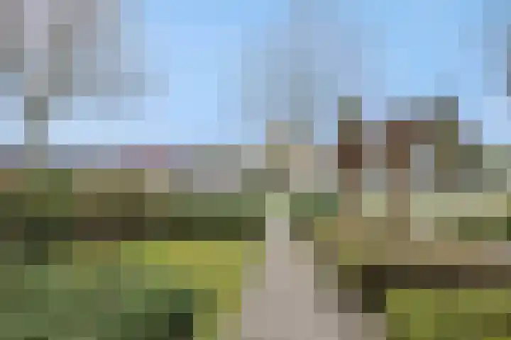 Paulus Potterlaan 5 Helmond thumbnail 7