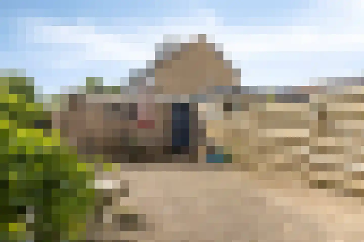 Paulus Potterlaan 51 Woudenberg thumbnail 23