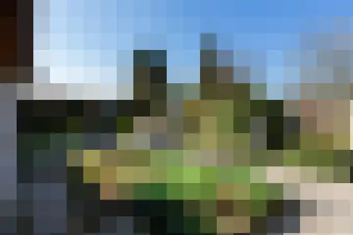 Paulus Potterlaan 54 Woudenberg thumbnail 42