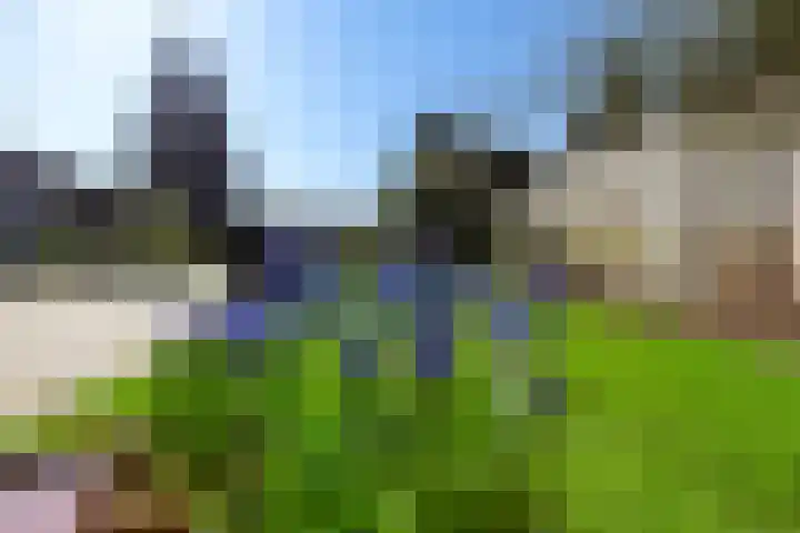 Paulus Potterlaan 54 Woudenberg thumbnail 43