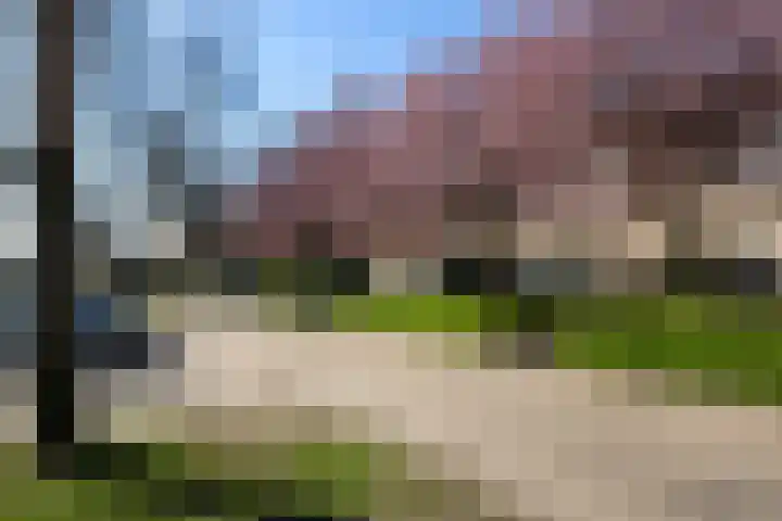 Paulus Potterlaan 54 Woudenberg thumbnail 50