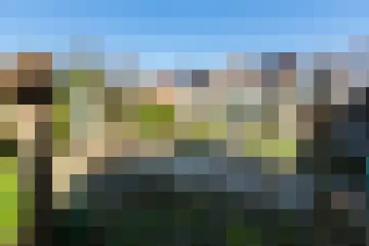 Paulus Potterlaan 54 Woudenberg thumbnail 6