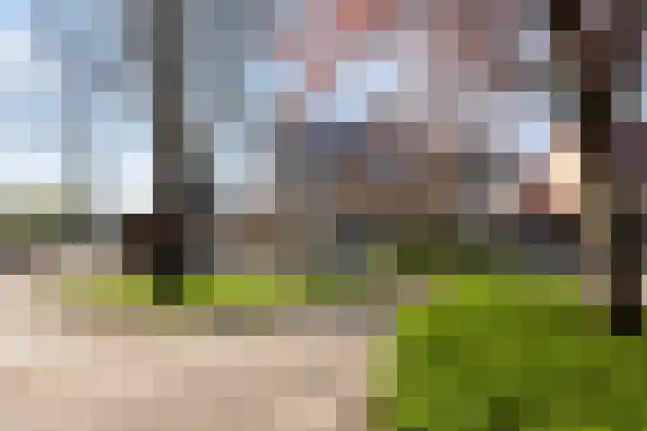 Paulus Potterlaan 54 Woudenberg thumbnail 7