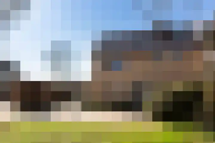 Paulus Potterlaan 54 Woudenberg thumbnail 8