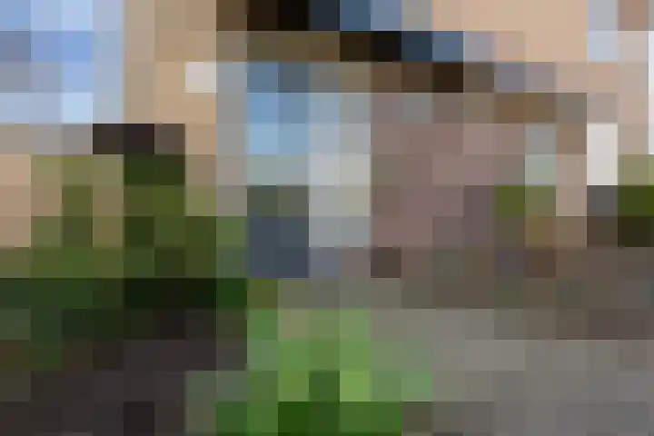Paulus Potterlaan 54 Woudenberg thumbnail 9