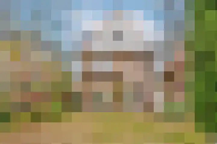 Paulus Potterlaan 6 Heemstede thumbnail 20