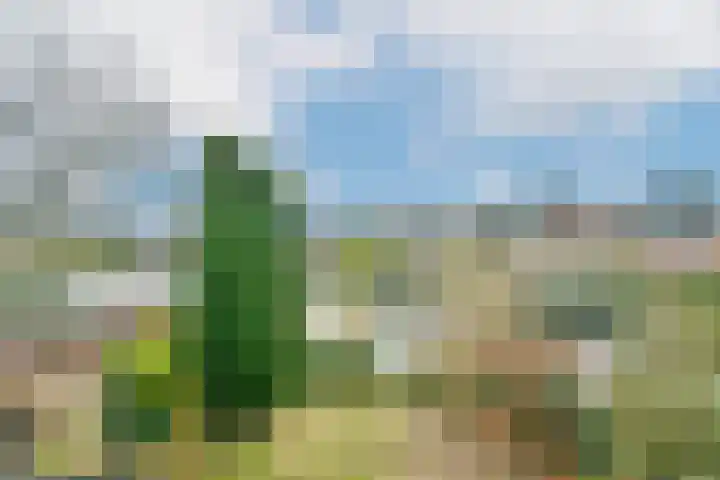 Paulus Potterlaan 6 Heemstede thumbnail 23