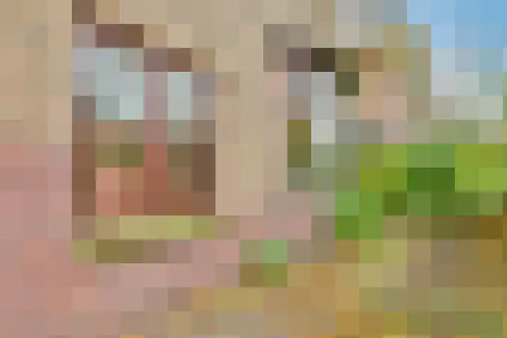 Paulus Potterlaan 6 Heemstede thumbnail 4