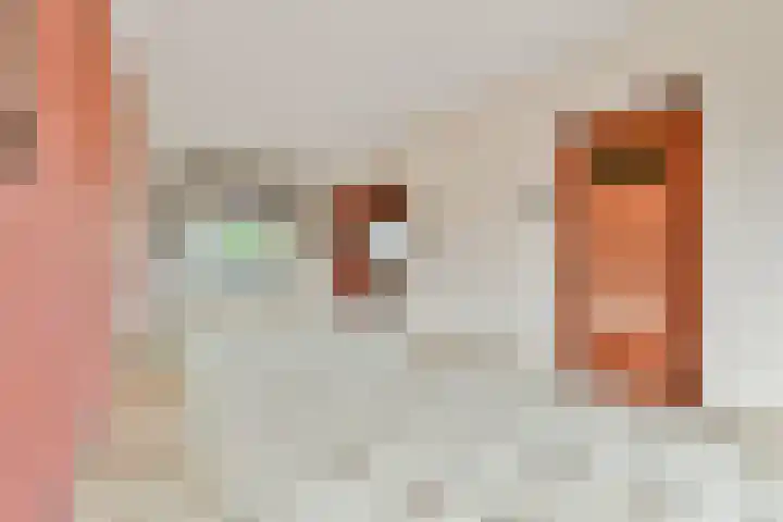 Paulus Potterlaan 6 Heemstede thumbnail 7